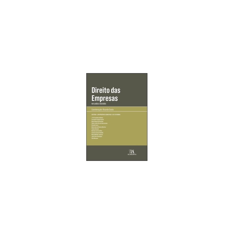 Direito das empresas: reflexões e decisões