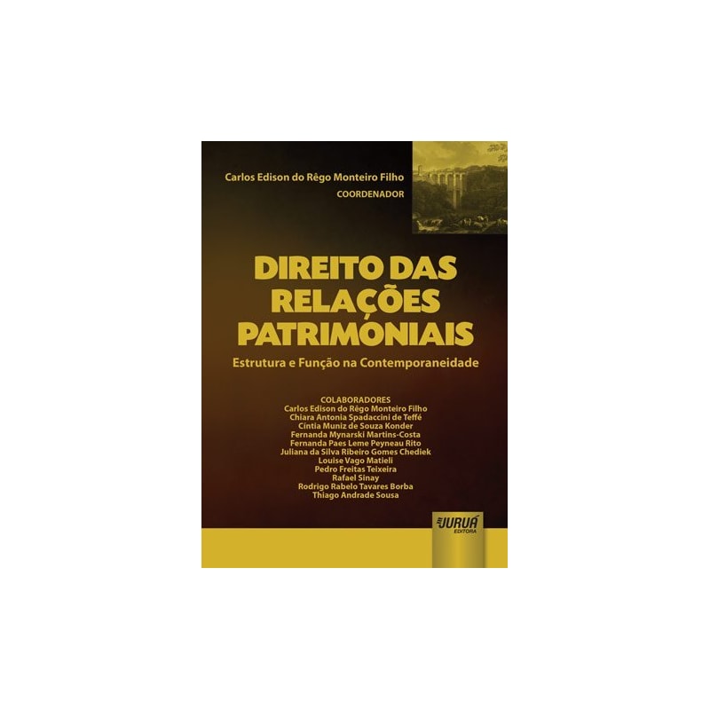 DIREITO DAS RELAÇÕES PATRIMONIAIS - ESTRUTURA E FUNÇÃO NA CONTEMPORANEIDADE