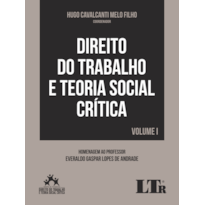 DIREITO DO TRABALHO E TEORIA SOCIAL CRÍTICA