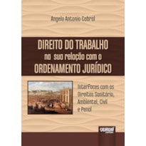 DIREITO DO TRABALHO NA SUA RELAÇÃO COM O ORDENAMENTO JURÍDICO - INTERFACES COM OS DIREITOS SANITÁRIO, AMBIENTAL, CIVIL E PENAL