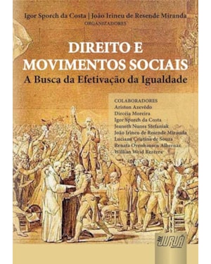 DIREITO E MOVIMENTOS SOCIAIS - A BUSCA DA EFETIVAÇÃO DA IGUALDADE