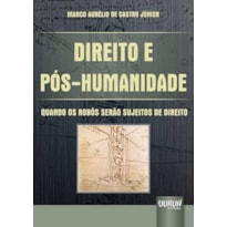 DIREITO E PÓS-HUMANIDADE - QUANDO OS ROBÔS SERÃO SUJEITOS DE DIREITO