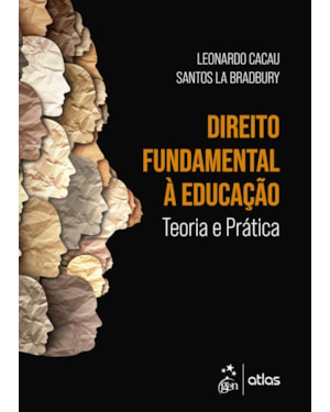 DIREITO FUNDAMENTAL À EDUCAÇÃO - TEORIA E PRÁTICA - 1ª EDIÇÃO 2023