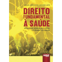 DIREITO FUNDAMENTAL À SAÚDE - EFETIVIDADE, RESERVA DO POSSÍVEL E O MÍNIMO EXISTENCIAL