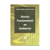 DIREITO FUNDAMENTAL AO AMBIENTE