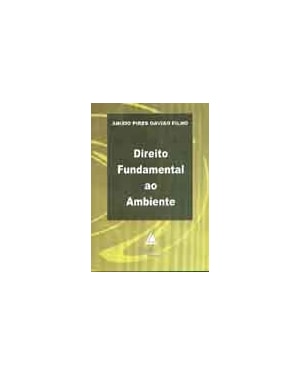 DIREITO FUNDAMENTAL AO AMBIENTE