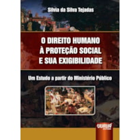 DIREITO HUMANO À PROTEÇÃO SOCIAL E SUA EXIGIBILIDADE, O - UM ESTUDO A PARTIR DO MINISTÉRIO PÚBLICO