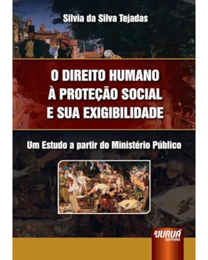DIREITO HUMANO À PROTEÇÃO SOCIAL E SUA EXIGIBILIDADE, O - UM ESTUDO A PARTIR DO MINISTÉRIO PÚBLICO