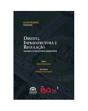 Direito, infraestrutura e regulação: pensando o futuro do direito administrativo