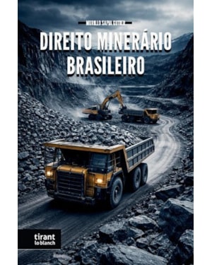 DIREITO MINERÁRIO BRASILEIRO