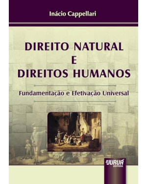 DIREITO NATURAL E DIREITOS HUMANOS - FUNDAMENTAÇÃO E EFETIVAÇÃO UNIVERSAL