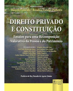 DIREITO PRIVADO E CONSTITUIÇÃO - ENSAIOS PARA UMA RECOMPOSIÇÃO VALORATIVA DA PESSOA E DO PATRIMÔNIO