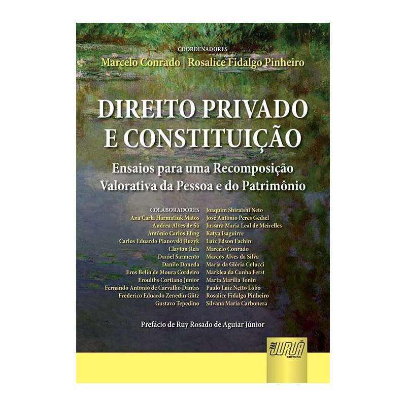 DIREITO PRIVADO E CONSTITUIÇÃO - ENSAIOS PARA UMA RECOMPOSIÇÃO VALORATIVA DA PESSOA E DO PATRIMÔNIO