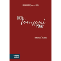 DIREITO PROCESSUAL PENAL: PRINCÍPIOS E DOGMÁTICA