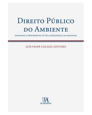 Direito público do ambiente: diagnose e prognose da tutela processual da paisagem