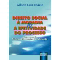 DIREITO SOCIAL À MORADIA E A EFETIVIDADE DO PROCESSO
