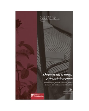 Direitos da criança e do adolescente:Contribuições práticas e teóricas para a execução das medidas socioeducativas