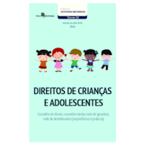 Direitos de Crianças e Adolescentes: Conselho de Direito, Conselho Tutelar, Rede de Garantias, Rede de Atendimentos (Experiências e Práticas)