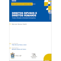 Direitos difusos e direitos humanos: tensões e mutações na sociedade contemporânea