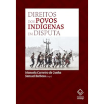 DIREITOS DOS POVOS INDÍGENAS EM DISPUTA