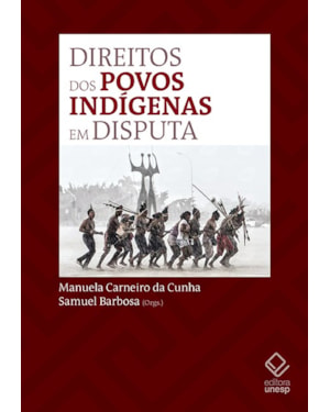 DIREITOS DOS POVOS INDÍGENAS EM DISPUTA