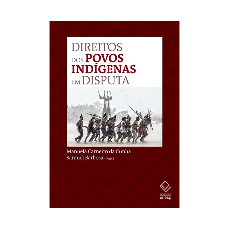 DIREITOS DOS POVOS INDÍGENAS EM DISPUTA