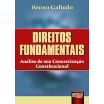 DIREITOS FUNDAMENTAIS - ANÁLISE DE SUA CONCRETIZAÇÃO CONSTITUCIONAL