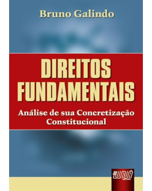 DIREITOS FUNDAMENTAIS - ANÁLISE DE SUA CONCRETIZAÇÃO CONSTITUCIONAL