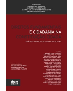 DIREITOS FUNDAMENTAIS E CIDADANIA NA CONSTITUIÇÃO CIDADÃ: ANÁLISES, PERSPECTIVAS E IMPACTOS SOCIAIS