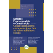 DIREITOS FUNDAMENTAIS E CONSTITUIÇÃO: CONSTITUCIONALISMO CONTEMPORÂNEO FACE ÀS VULNERABILIDADES SOCIAIS - VOL. 06