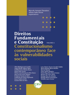 DIREITOS FUNDAMENTAIS E CONSTITUIÇÃO: CONSTITUCIONALISMO CONTEMPORÂNEO FACE ÀS VULNERABILIDADES SOCIAIS - VOL. 06