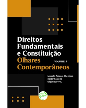 DIREITOS FUNDAMENTAIS E CONSTITUIÇÃO: OLHARES CONTEMPORÂNEOS (VOLUME 5)