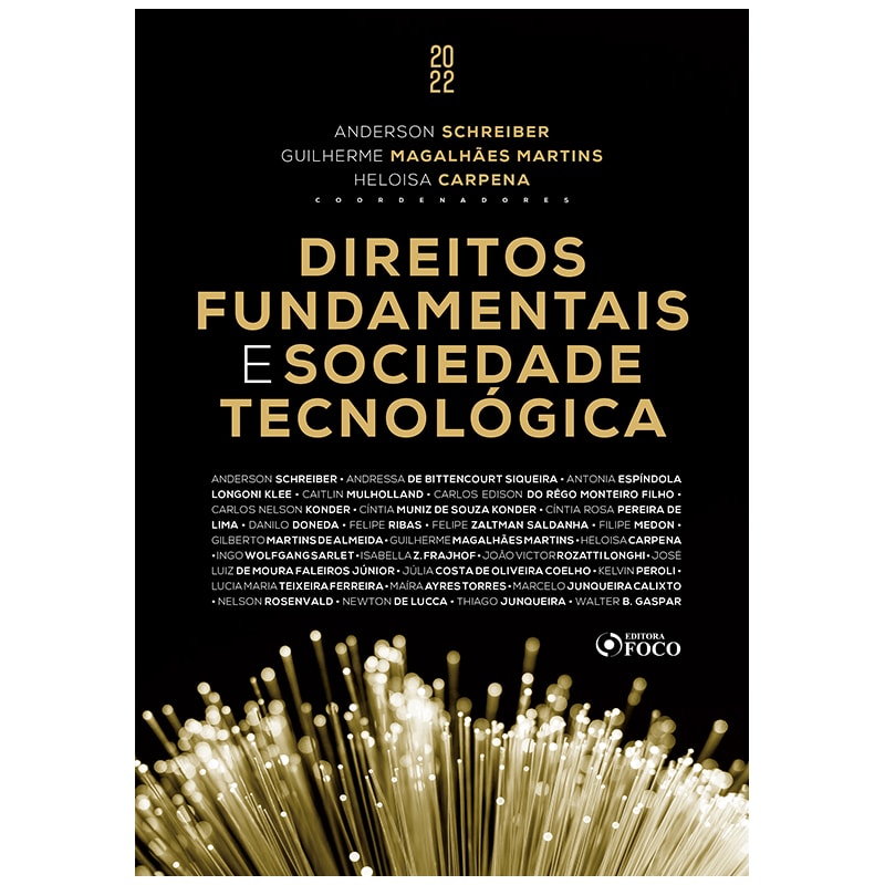 DIREITOS FUNDAMENTAIS E SOCIEDADE TECNOLÓGICA - 1ª ED - 2022