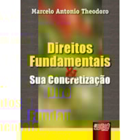 DIREITOS FUNDAMENTAIS E SUA CONCRETIZAÇÃO
