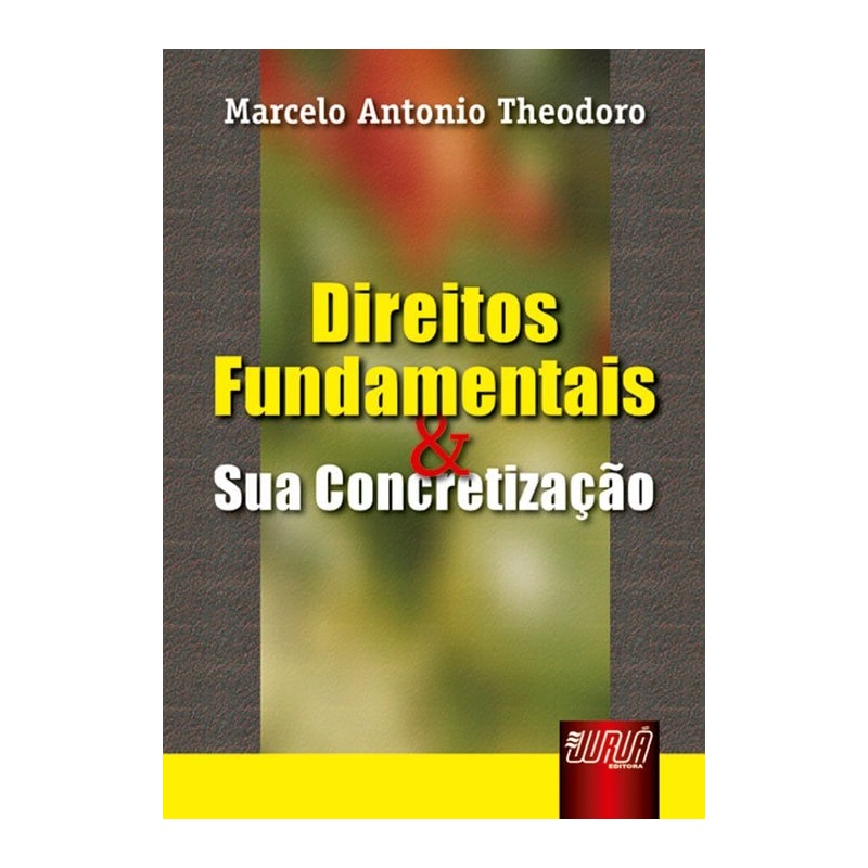 DIREITOS FUNDAMENTAIS E SUA CONCRETIZAÇÃO
