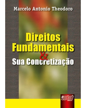 DIREITOS FUNDAMENTAIS E SUA CONCRETIZAÇÃO