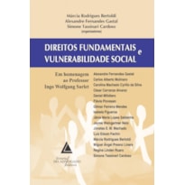 DIREITOS FUNDAMENTAIS E VULNERABILIDADE SOCIAL