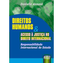 DIREITOS HUMANOS E ACESSO À JUSTIÇA NO DIREITO INTERNACIONAL