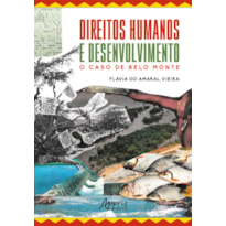 DIREITOS HUMANOS E DESENVOLVIMENTO - O CASO DE BELO MONTE