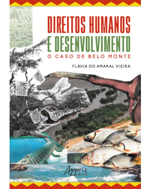 DIREITOS HUMANOS E DESENVOLVIMENTO - O CASO DE BELO MONTE