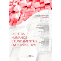 DIREITOS HUMANOS E FUNDAMENTAIS EM PERSPECTIVA - 1ª EDIÇÃO 2014