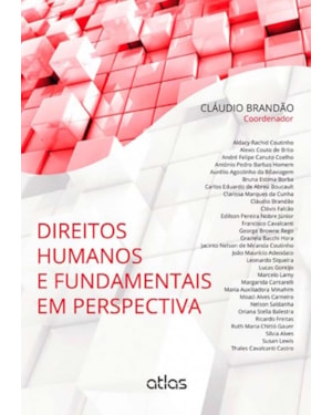 DIREITOS HUMANOS E FUNDAMENTAIS EM PERSPECTIVA - 1ª EDIÇÃO 2014