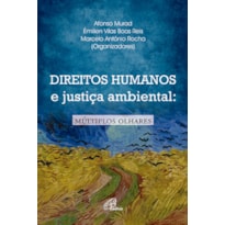 DIREITOS HUMANOS E JUSTIÇA AMBIENTAL: MÚLTIPLOS OLHARES