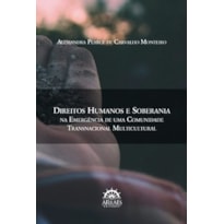 Direitos humanos e soberania na emergência de uma comunidade transnacional multicultural