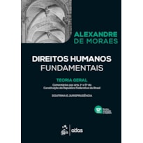 DIREITOS HUMANOS FUNDAMENTAIS - 12ª EDIÇÃO 2021