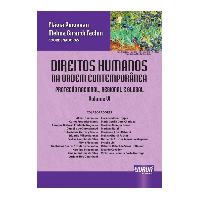 DIREITOS HUMANOS NA ORDEM CONTEMPORÂNEA - VOLUME VI - PROTEÇÃO NACIONAL, REGIONAL E GLOBAL