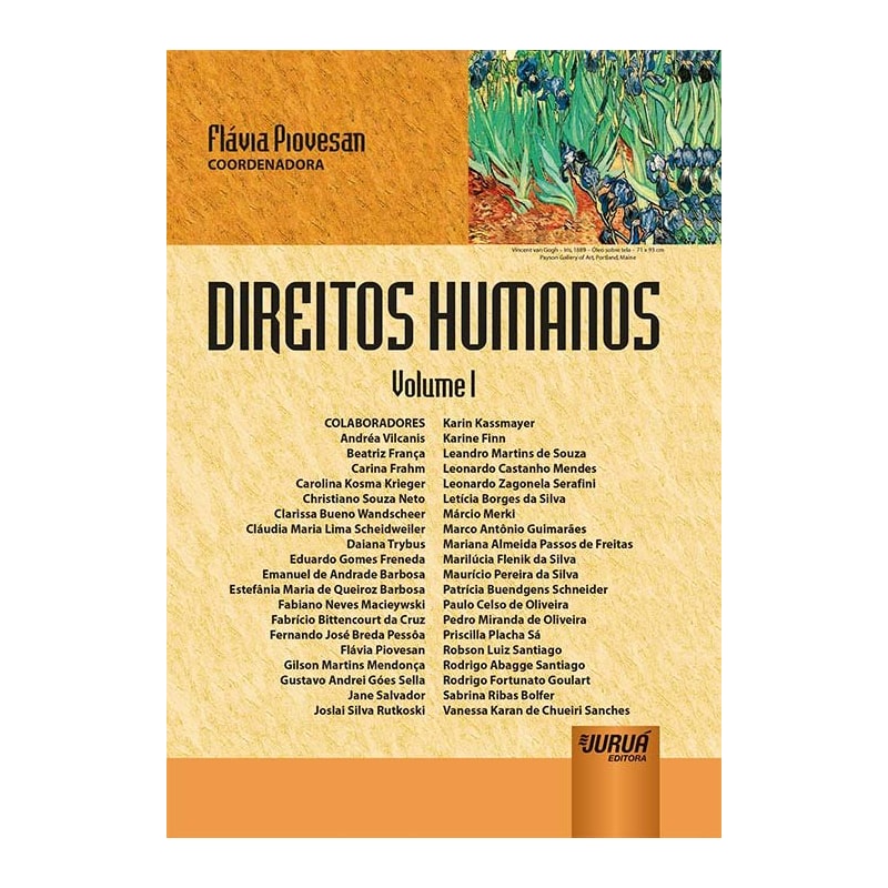 DIREITOS HUMANOS - VOLUME I