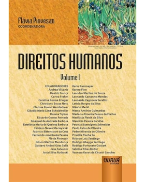 DIREITOS HUMANOS - VOLUME I