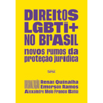 DIREITOS LGBTI+ NO BRASIL: NOVOS RUMOS DA PROTEÇÃO JURÍDICA