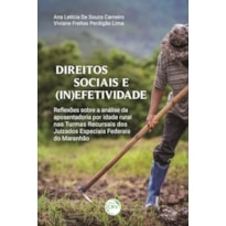 DIREITOS SOCIAIS E (IN)EFETIVIDADE: REFLEXÕES SOBRE A ANÁLISE DA APOSENTADORIA POR IDADE RURAL NAS TURMAS RECURSAIS DOS JUIZADOS ESPECIAIS FEDERAIS DO MARANHÃO